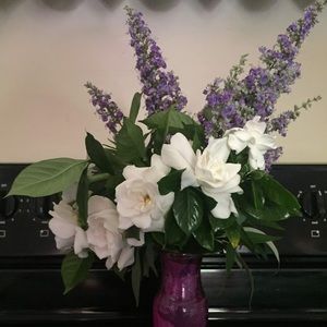 Meet your Posher, Teresa